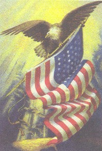 Eagle-Flag.jpg (26591 bytes)