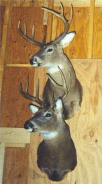 four bucks.jpg (24057 bytes)